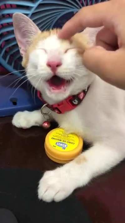 She looks like this emoji -> ?