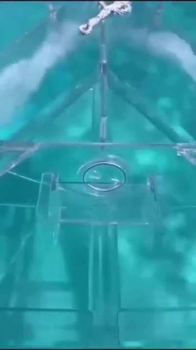 A transparent boat trough which you can see the water below you .
