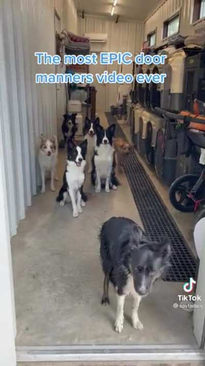 Epic door manners