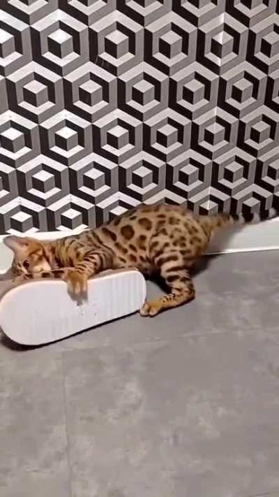 to defeat a slipper