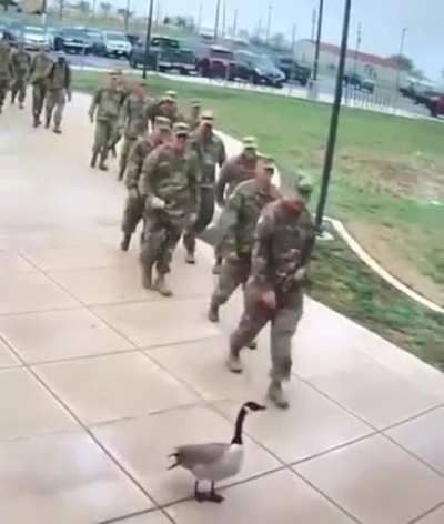 Canadian attacks US Soldiers