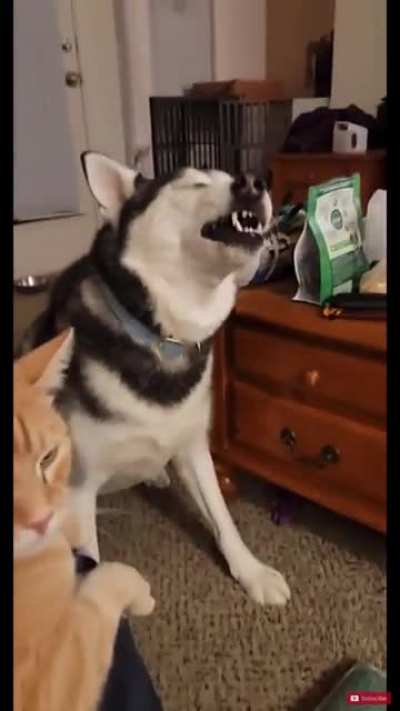 He Sneze