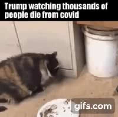 Great work c*nt
