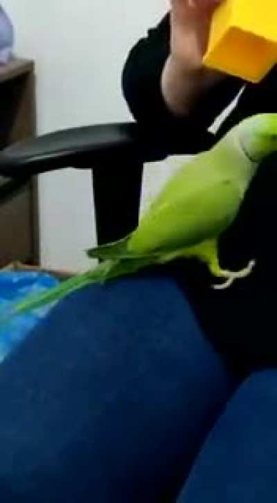 Birbbox