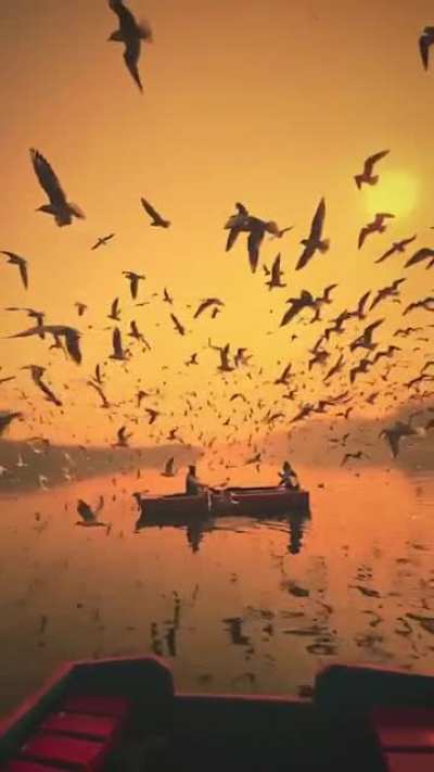 ? Yamuna River, Uttar Pradesh India