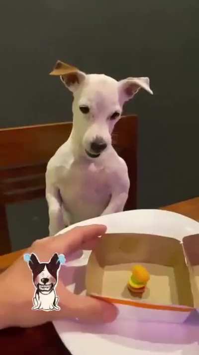 The betrayal is real. ?
