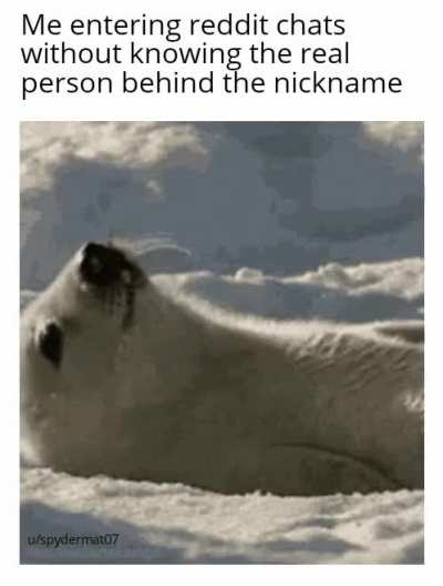Ya like chats?