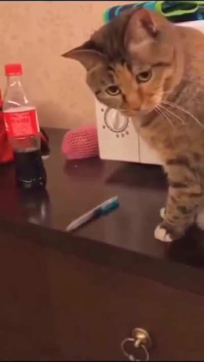 F*ck this one too