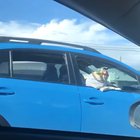 The sounds of pure joy and excitement at seeing this Jedi Master in the wild