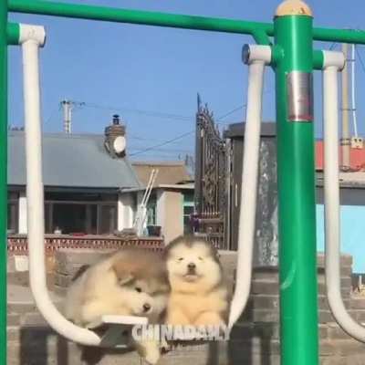 It's definitely "ouch!"