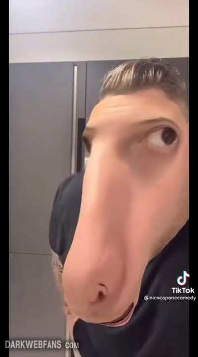 HORSE LIKE IT