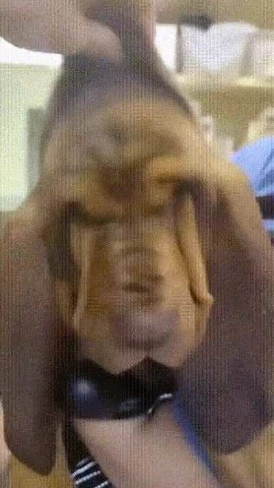 That feeling when you don't know what's going on)