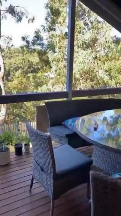 yummy pasta