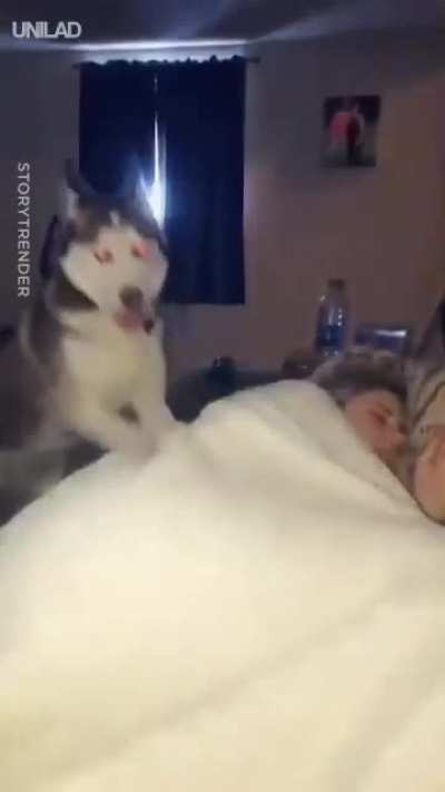 wake up master, it's time to walk?