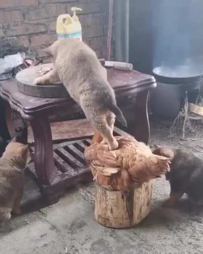 I have lot questions ,how this happened