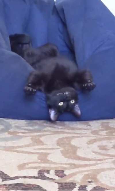 Just practising bat.