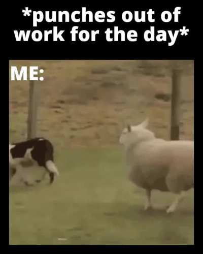 Every day at 5