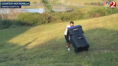 Catch &amp; release alligator in Florida. Man with trash can versus an alligator.