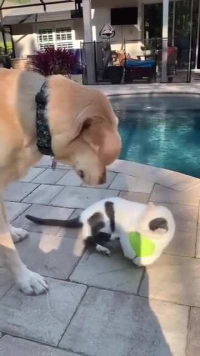 No sharing!