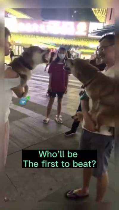 Maybe maybe maybe