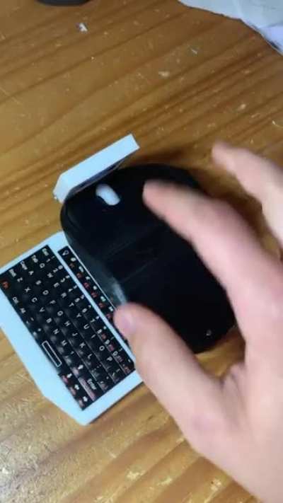 Computer mouse (Credit to Electo on YT)