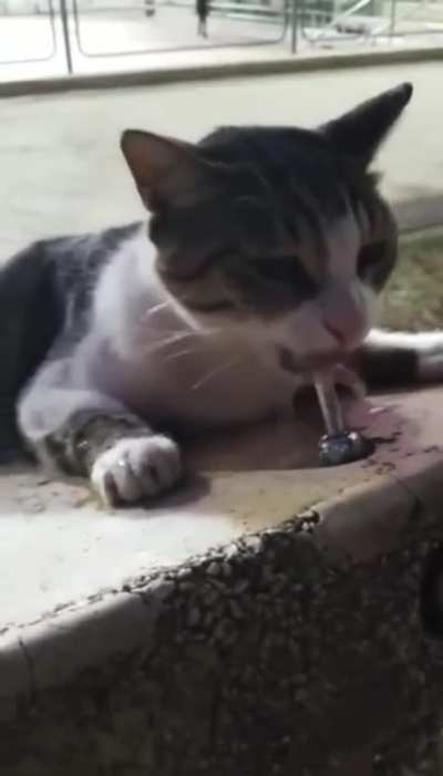 Hooman, I'm thirsty