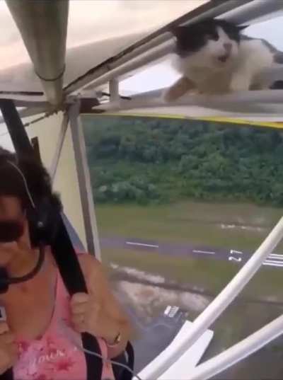 Hundreds of feet in the air