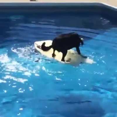 Maybe Maybe Maybe
