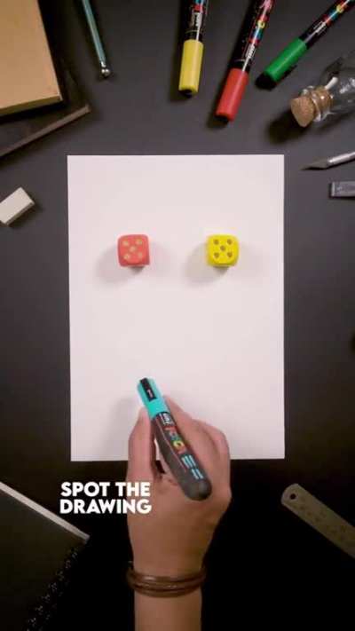 Spot the Drawing