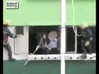 Well.. everyone tried their best