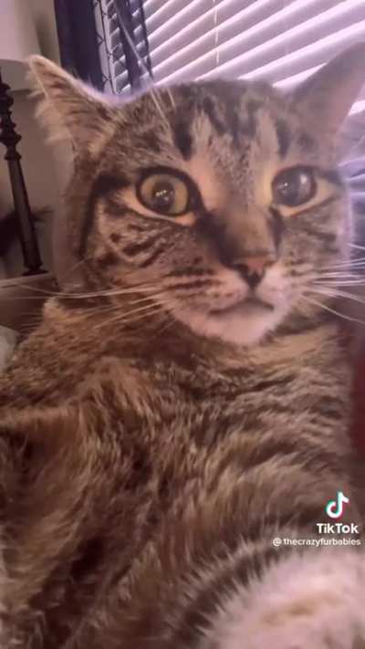 Bombastic side eye ?