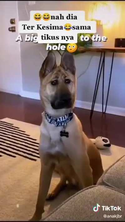???