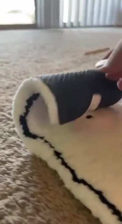 Mat.