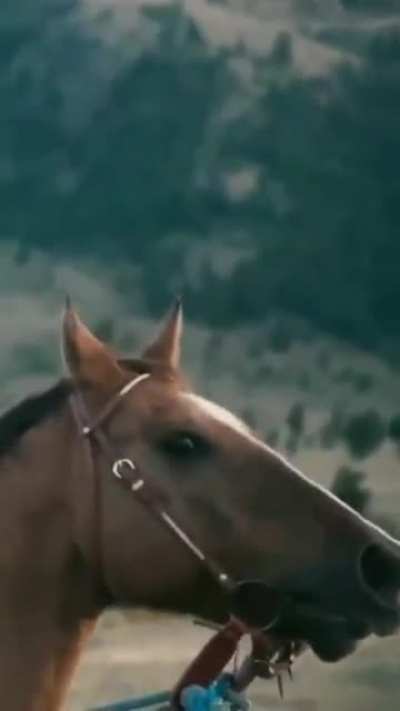 To film a promo on a horse