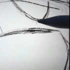 Drawing princesses until she made his way to Miss Universe!