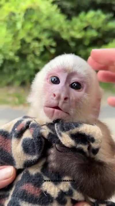 Those eyes ?