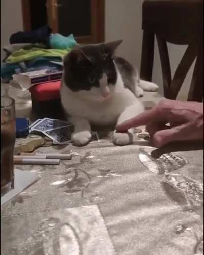 Maybe Maybe Maybe