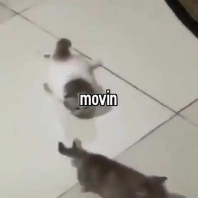 movin