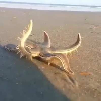 ? Something you don't see every day