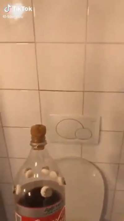 Abrupt toilet adventure