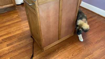 This old video of my Maggie just popped into my head so I figured I’d share it with y’all.
