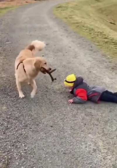 Don’t take the puppy’s stick!