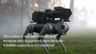 "Thermonator" flame-throwing robot dog is now available for the public to buy