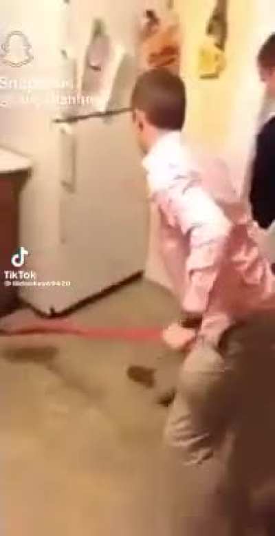 Catching vermin