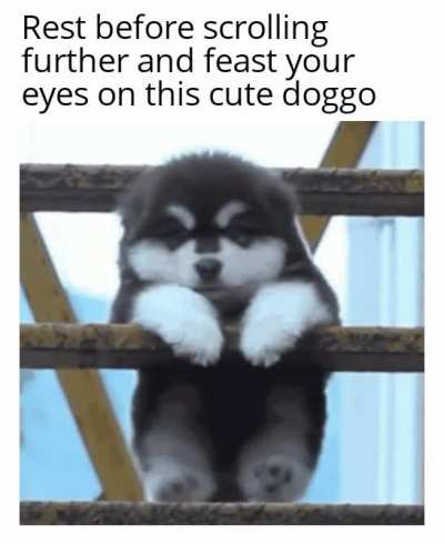 It won't hurt to look at him