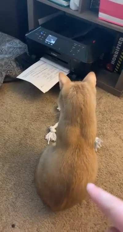 Scary
