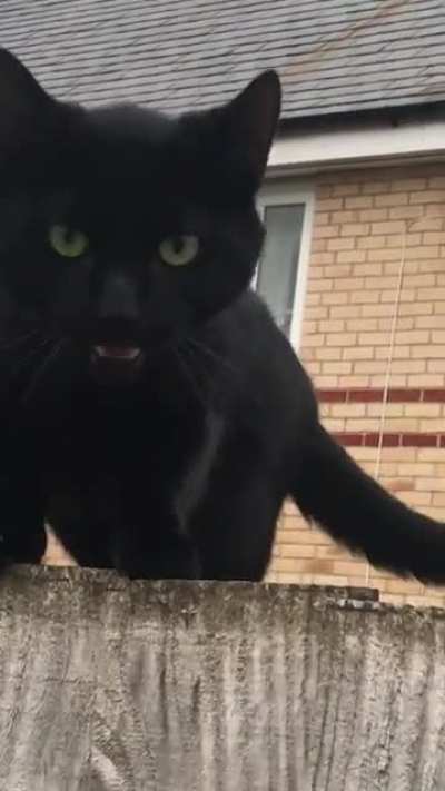 my boy is happy to see me ?