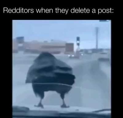 What did you say?!