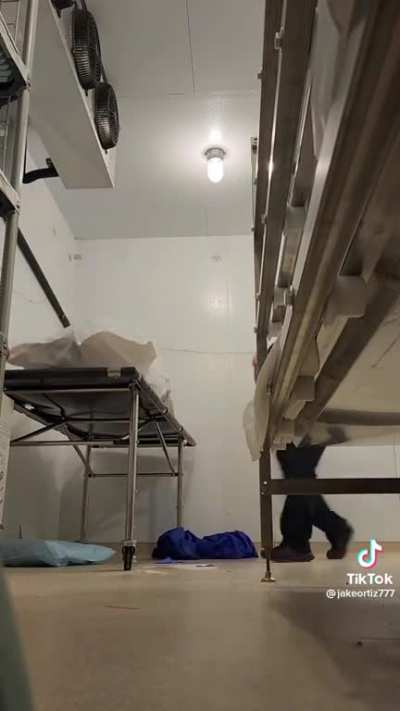 Just a little prank at the workplace