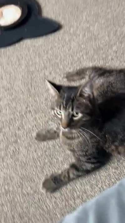 Wait for it…????